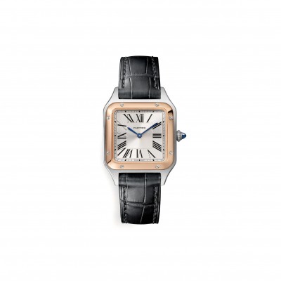 CARTIER SANTOS-DUMONT WATCH 38MM W2SA0012